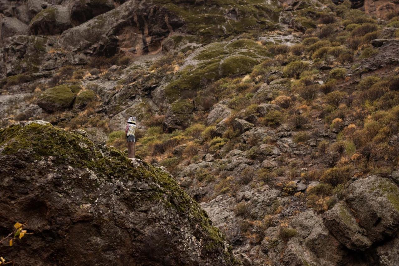 La Vuelta Del Amo Villa Las Palmas de Gran Canaria Eksteriør billede