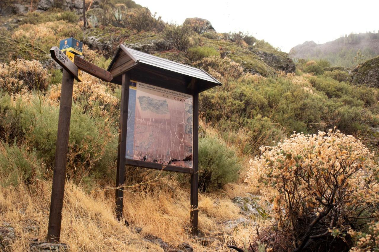 La Vuelta Del Amo Villa Las Palmas de Gran Canaria Eksteriør billede
